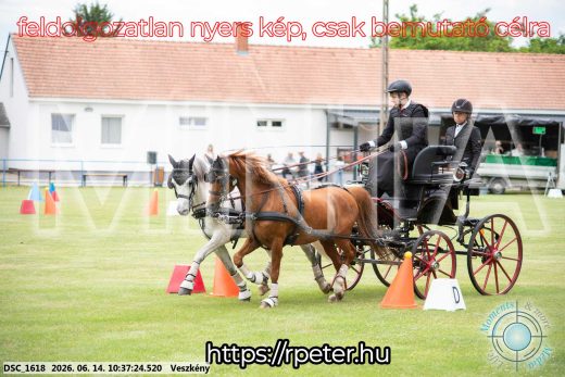 Mintakép 20260614-988