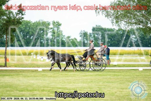 Mintakép 20260611-168