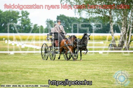 Mintakép 20260611-170