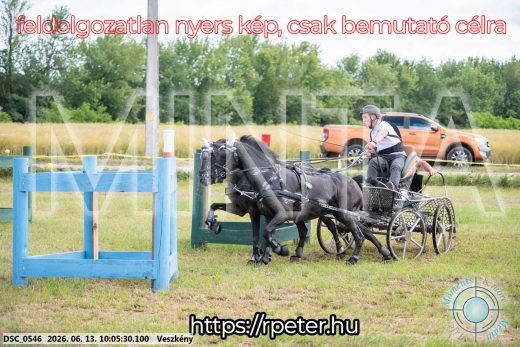 Mintakép 20260613-1888