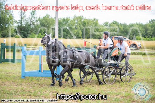 Mintakép 20260613-1892