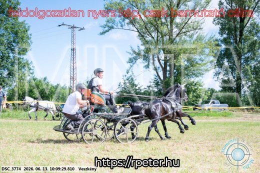 Mintakép 20260613-1894