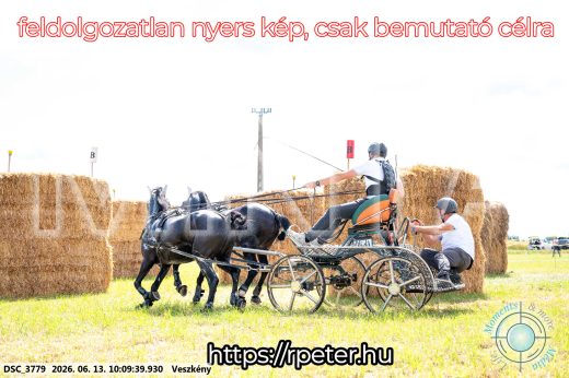 Mintakép 20260613-1898