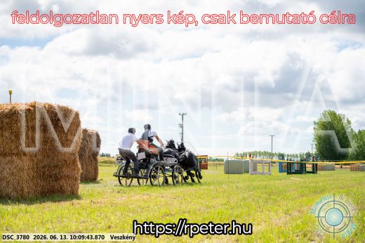 Mintakép 20260613-1899