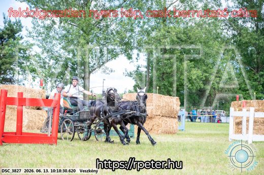 Mintakép 20260613-1908