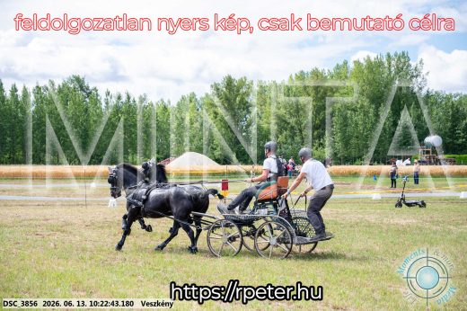 Mintakép 20260613-1928