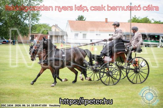 Mintakép 20260614-995