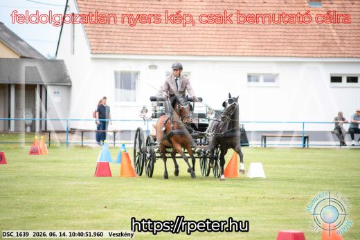 Mintakép 20260614-999