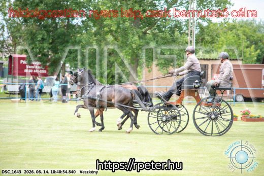 Mintakép 20260614-1003