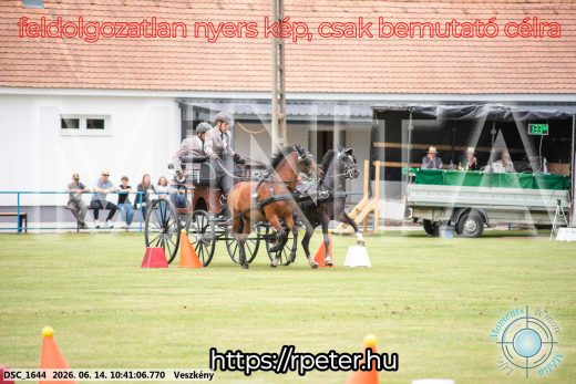 Mintakép 20260614-1004