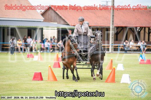 Mintakép 20260614-1007