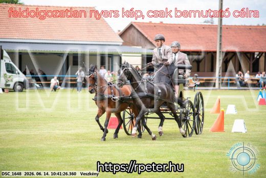 Mintakép 20260614-1008