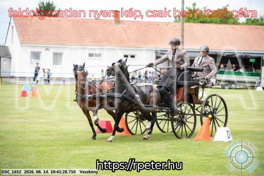 Mintakép 20260614-1012