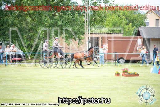Mintakép 20260614-1016