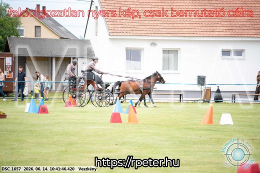Mintakép 20260614-1017