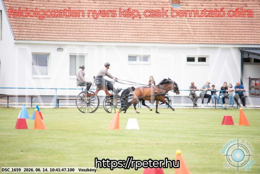Mintakép 20260614-1019
