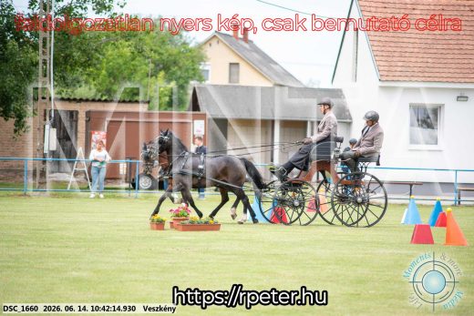 Mintakép 20260614-1020