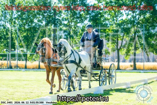 Mintakép 20260612-857