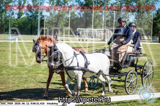 Mintakép 20260612-865