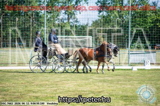 Mintakép 20260612-868