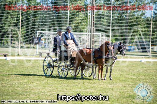 Mintakép 20260612-869