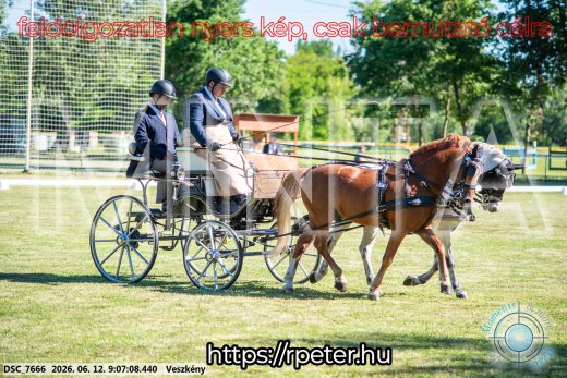 Mintakép 20260612-872