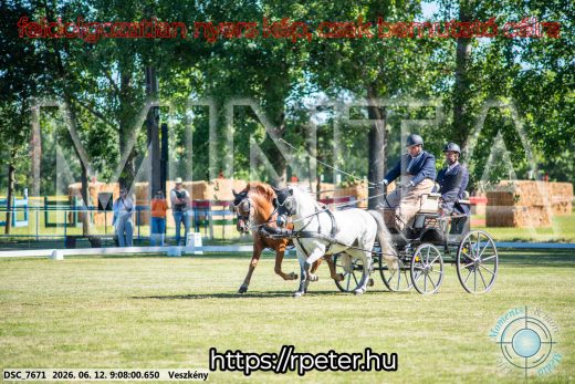 Mintakép 20260612-877