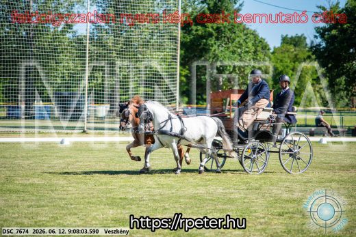 Mintakép 20260612-880