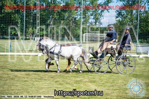 Mintakép 20260612-886