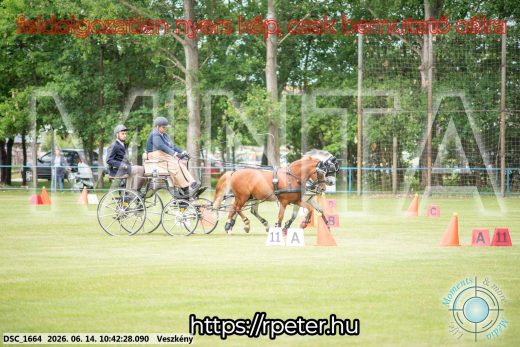 Mintakép 20260614-1023