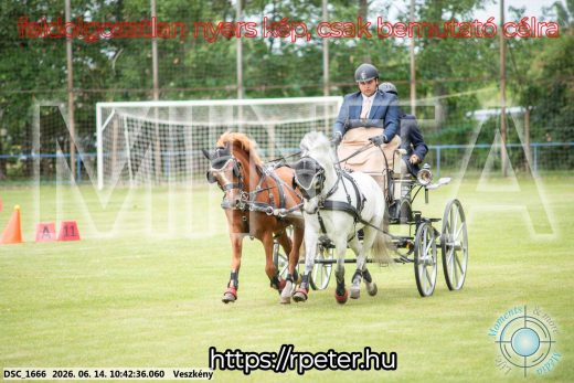 Mintakép 20260614-1025