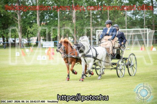 Mintakép 20260614-1026