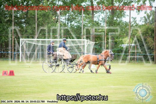 Mintakép 20260614-1033
