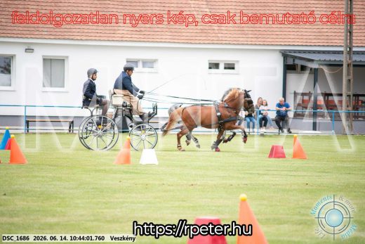 Mintakép 20260614-1043