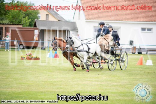 Mintakép 20260614-1049