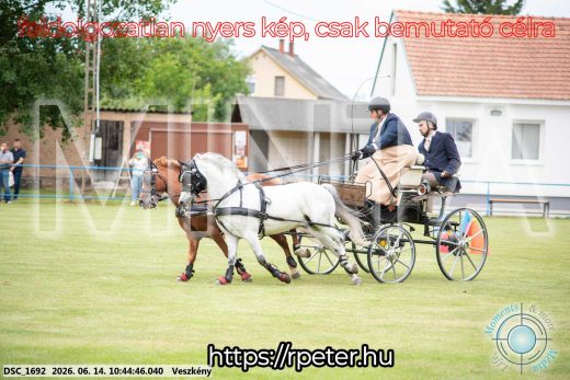 Mintakép 20260614-1050