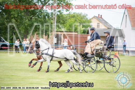 Mintakép 20260614-1051