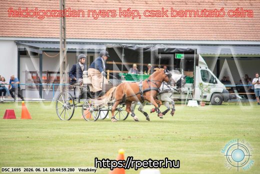 Mintakép 20260614-1053