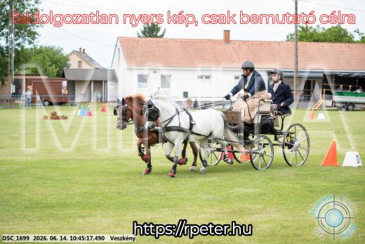 Mintakép 20260614-1057
