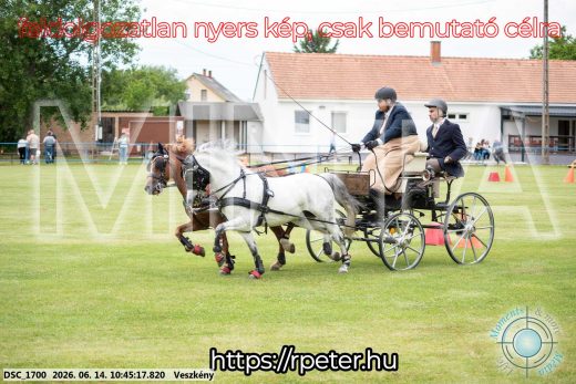 Mintakép 20260614-1058