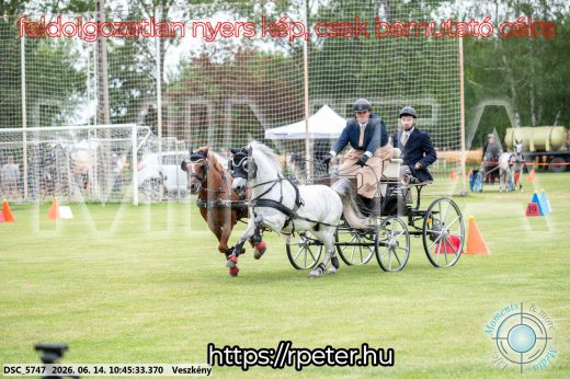 Mintakép 20260614-1060