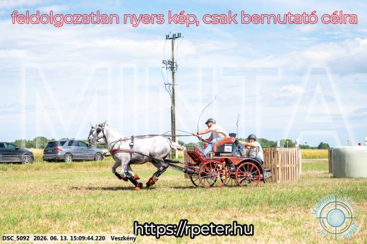 Mintakép 20260613-160