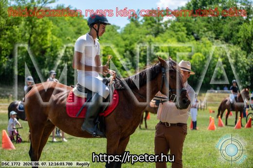 Mintakép 20260607-54