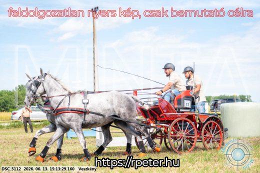 Mintakép 20260613-174