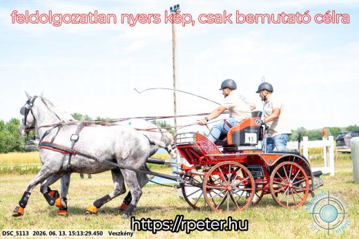 Mintakép 20260613-175