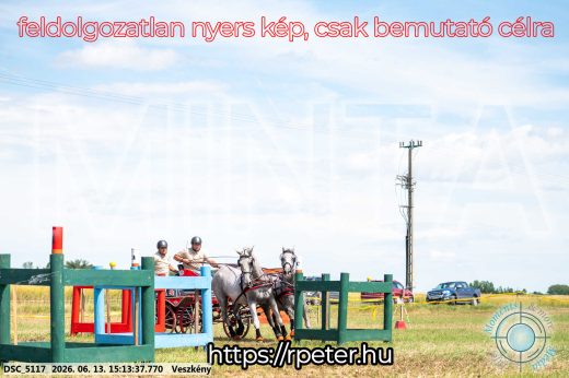 Mintakép 20260613-179
