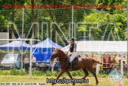 Mintakép 20260607-286