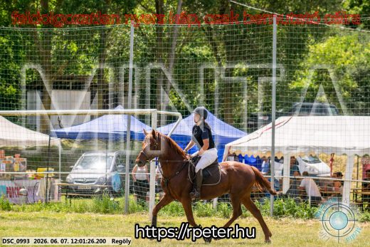 Mintakép 20260607-287