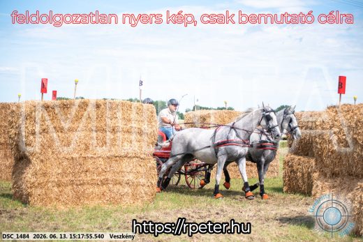 Mintakép 20260613-193