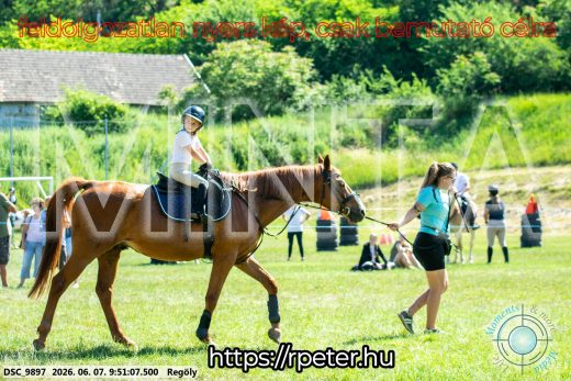 Mintakép 20260607-413